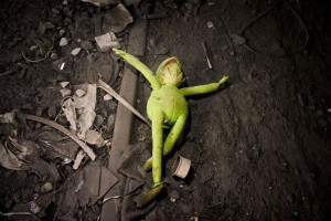 CelebSwineFlu-1stVictim